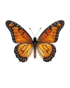 Nature Inspired Butterfly 3 Piece Set