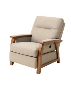 49 '' Wide Power Lift Assist Standard Recliner With Massager