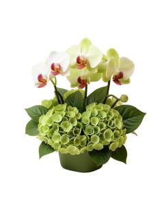 32 '' Hx28 '' W Phalaenopsis , Dendrobium Orchid & Hydrangea Silk Flower Arrangement -Orchid/Green