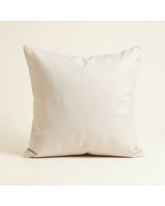 Theriault Solid Cotton Throw Pillow (synthetic illustration; no displayed measurements)