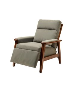 Abberbury 33.5 '' Wide Power Lift Assist Standard Recliner (synthetic illustration; no displayed measurements)