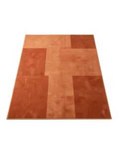Juniper Branch Rectangular Area Rug - Terracotta (synthetic illustration; no displayed measurements)