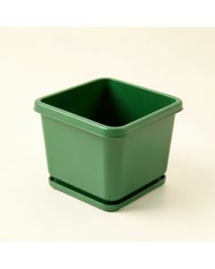 Linden Branch Empty Planter - Green (synthetic illustration; no displayed measurements)