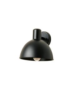 Fern Crest Wall Sconce Mounted On A Plain Wall - Black