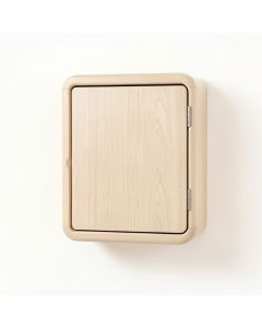 Sage Bend Wall-Mounted Laundry Cabinet - Beige (synthetic illustration; no displayed measurements)