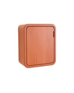 Maple Dale Wall-Mounted Laundry Cabinet - Terracotta
