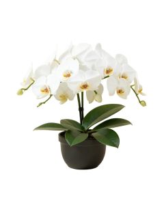 30 '' Phalaenopsis Orchid Silk Flower Arrangement -White