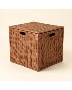 Pool Float Rattan Deck Box (synthetic illustration; no displayed measurements)