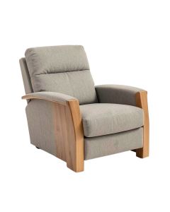 Minogue 32 '' Wide Power Lift Assist Standard Recliner (synthetic illustration; no displayed measurements)