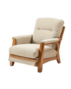 Caroline 31.1 '' Wide Power Lift Assist Standard Recliner With Massager (synthetic illustration; no displayed measurements)