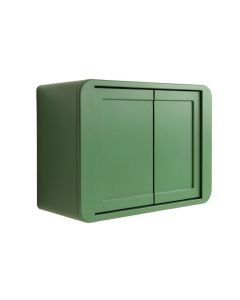 Pine Brook Wall-Mounted Entry Cabinet - Green