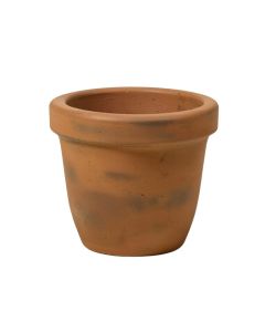 Brooks Cement Pot Planter (synthetic illustration; no displayed measurements)