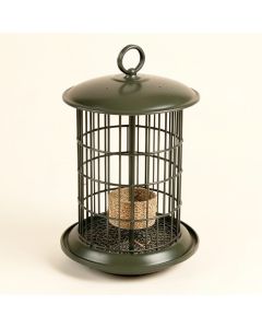 Forever 3 Quart Sunflower Nyjer/Thistle Feeder (synthetic illustration; no displayed measurements)