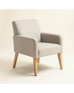 Esman Arm Chair In Clear (synthetic illustration; no displayed measurements)