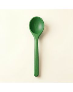 Ridge Brook Cooking Spoon - Green (synthetic illustration; no displayed measurements)