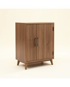 Matheus 2 Door Accent Cabinet (synthetic illustration; no displayed measurements)