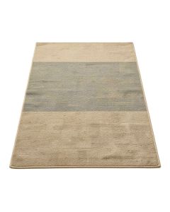 Cotton Multi-Color Area Rug (synthetic illustration; no displayed measurements)