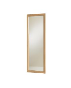 Ayrianna Modern & Contemporary Full Length Mirror