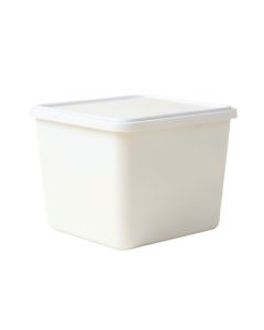 Holly Crossing Closed Outdoor Storage Box - White