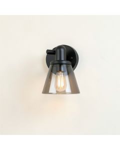 Pine Branch Wall Sconce Mounted On A Plain Wall - Black (synthetic illustration; no displayed measurements)