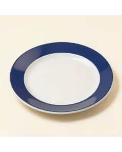 Solorio 9 '' Melamine Salad Plate (synthetic illustration; no displayed measurements)