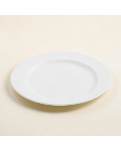 Dabo 9 '' Melamine Salad Plate (synthetic illustration; no displayed measurements)