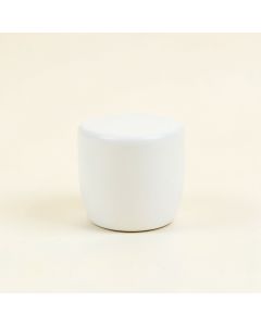 Wren Canyon Cabinet Knob Without Packaging - White (synthetic illustration; no displayed measurements)