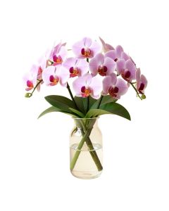 Phalaenopsis Orchids Floral Arrangements In Glass Vase