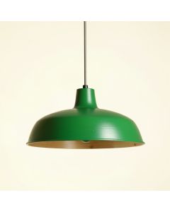 Linden Arc Pendant Light Suspended From One Plain Cable - Green (synthetic illustration; no displayed measurements)