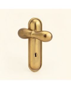 Custom Broadway Non-Turning Lever With Century Trim (synthetic illustration; no displayed measurements)
