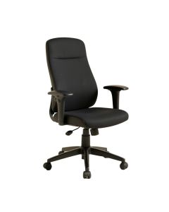 Eiladh Home Office Computer Task Chair (synthetic illustration; no displayed measurements)