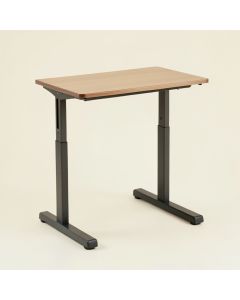 Standing Desk Converter (synthetic illustration; no displayed measurements)