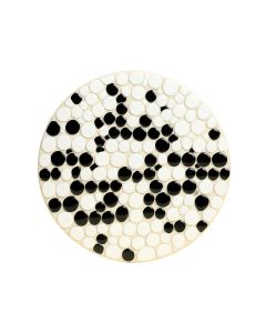 0.8 '' X 0.8 '' Porcelain Penny Round Mosaic Wall & Floor Tile