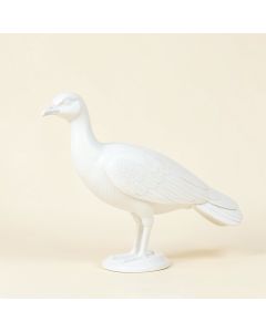 Seaver Peacock (synthetic illustration; no displayed measurements)