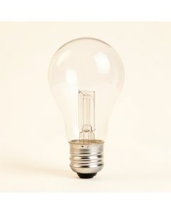 Light Bulb (synthetic illustration; no displayed measurements)