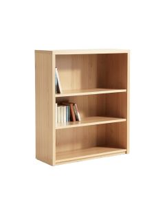 Single Face Shelf Standard Bookcase (synthetic illustration; no displayed measurements)