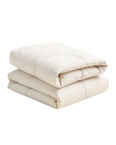 Aeden Comforter Set