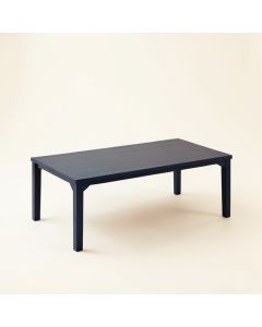 Juniper Arc Coffee Table (synthetic illustration; no displayed measurements)