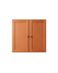 Linden Crest Wall-Mounted Entry Cabinet - Terracotta (synthetic illustration; no displayed measurements)