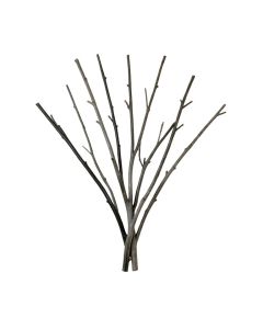Natural Twigs And Branches Wall Décor