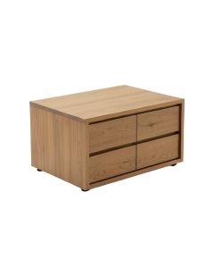 Nishimura Coffee Table With Storage (synthetic illustration; no displayed measurements)