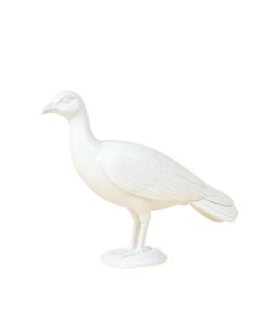 Seaver Peacock (synthetic illustration; no displayed measurements)