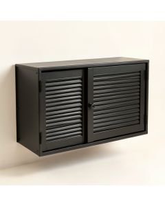 Briar Arc Wall-Mounted Entry Cabinet (synthetic illustration; no displayed measurements)
