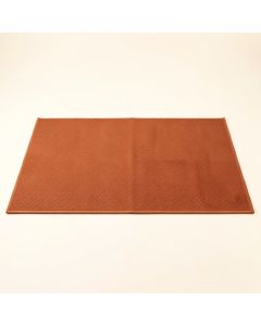 Willow Bend Rectangular Outdoor Rug - Terracotta (synthetic illustration; no displayed measurements)