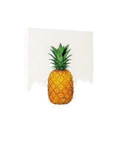 Be A Pineapple Illustration Typography By Jo Moulton - Textual Art Print On Canvas
