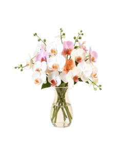 Dancing Lady Artificial Orchids Floral Arrangement In Vase