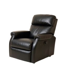 Ellye 33.07 '' Wide Faux Leather Power Lift Assist Standard Recliner (synthetic illustration; no displayed measurements)