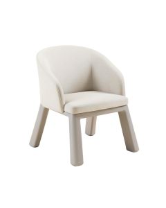 Ruckus Kids Chair (synthetic illustration; no displayed measurements)