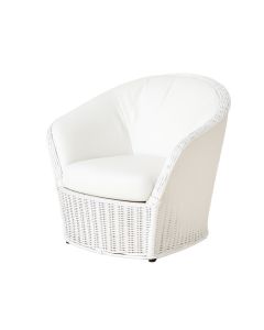 43 '' Wide Balloon Chair (synthetic illustration; no displayed measurements)