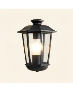 Valeri 11.75 '' H Outdoor Wall Lantern (synthetic illustration; no displayed measurements)